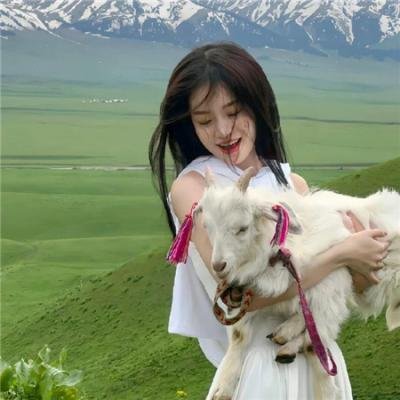 登场了丝绸之路